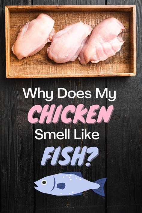 my chicken tastes like fish|Don’t Panic: Why Does My Chicken Taste Like Fish.